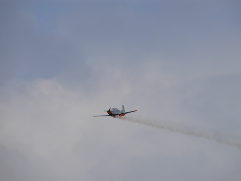 ahden_2009_1_20091101_1074869849