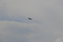 ahden_2009_14_20091101_1819320125