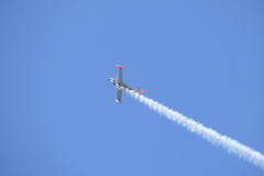 ahden_2009_14_20091101_2088007383