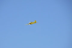 ahden_2009_2_20091101_1004395214