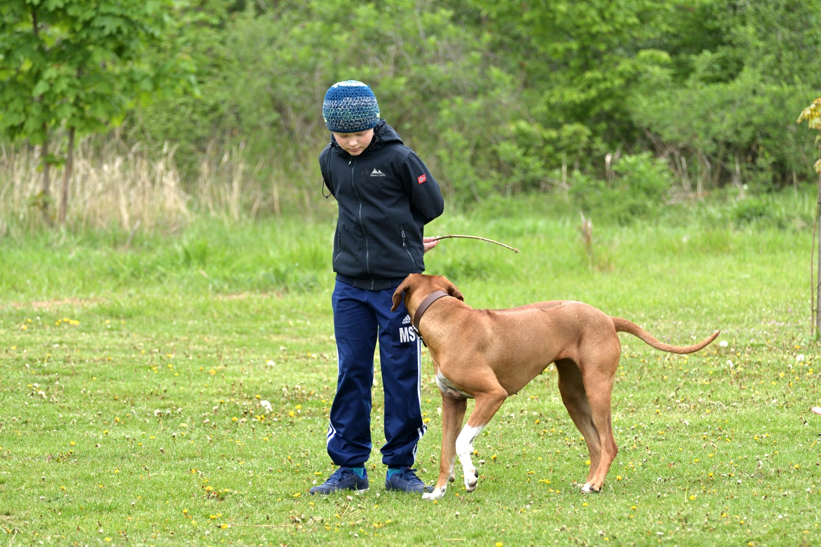 DSC_9729_01