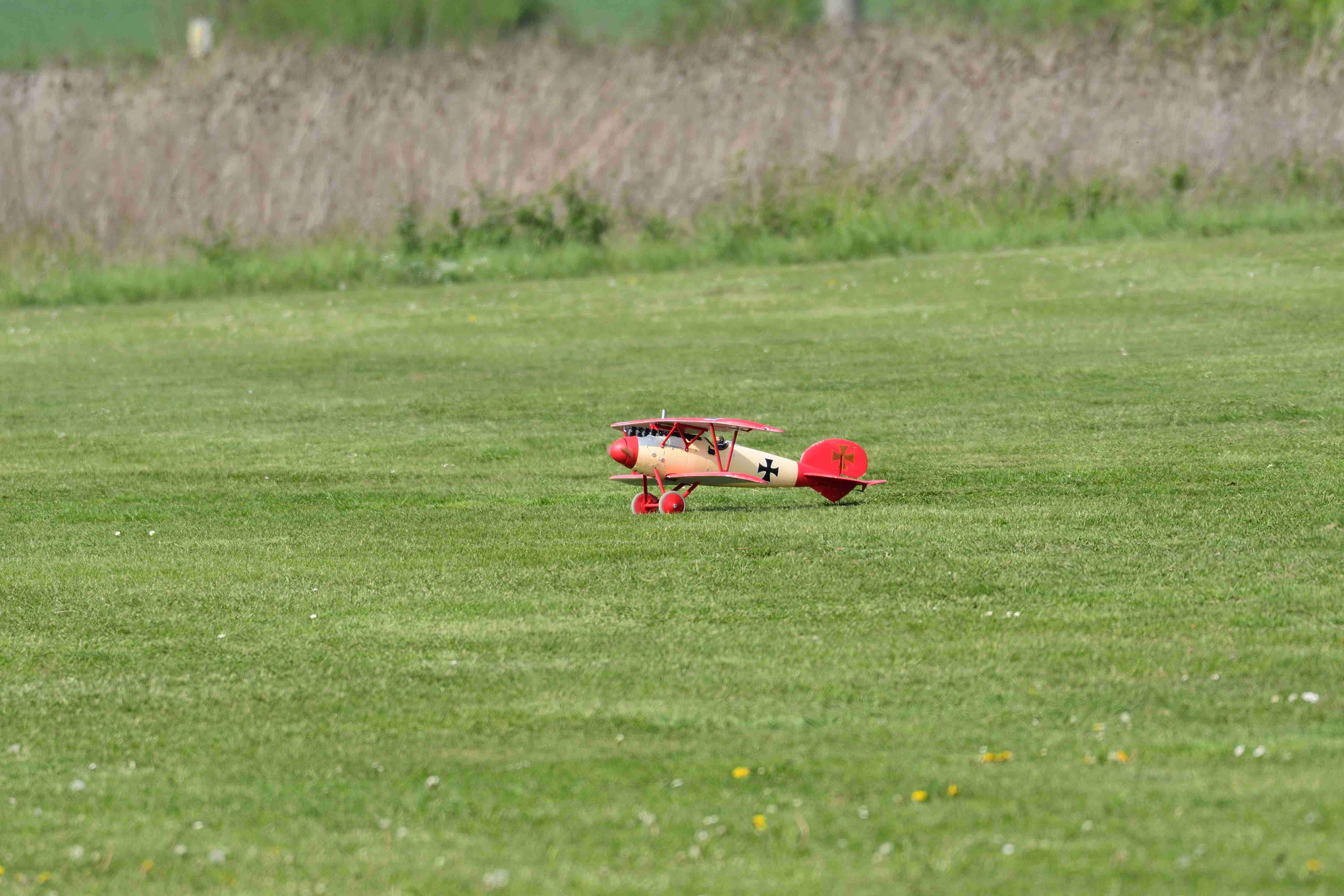 DSC_9795_00001_2