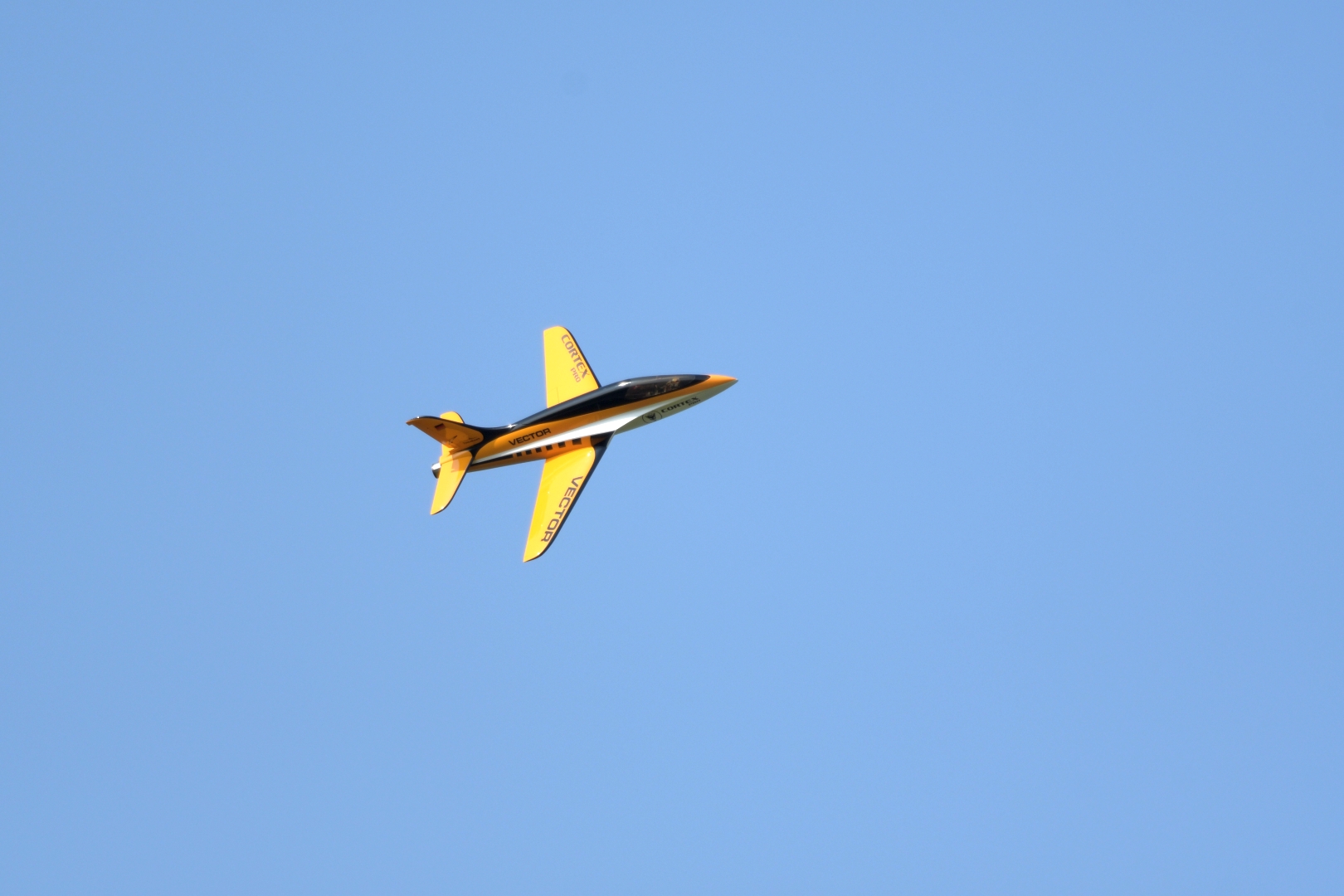 DSC_9822