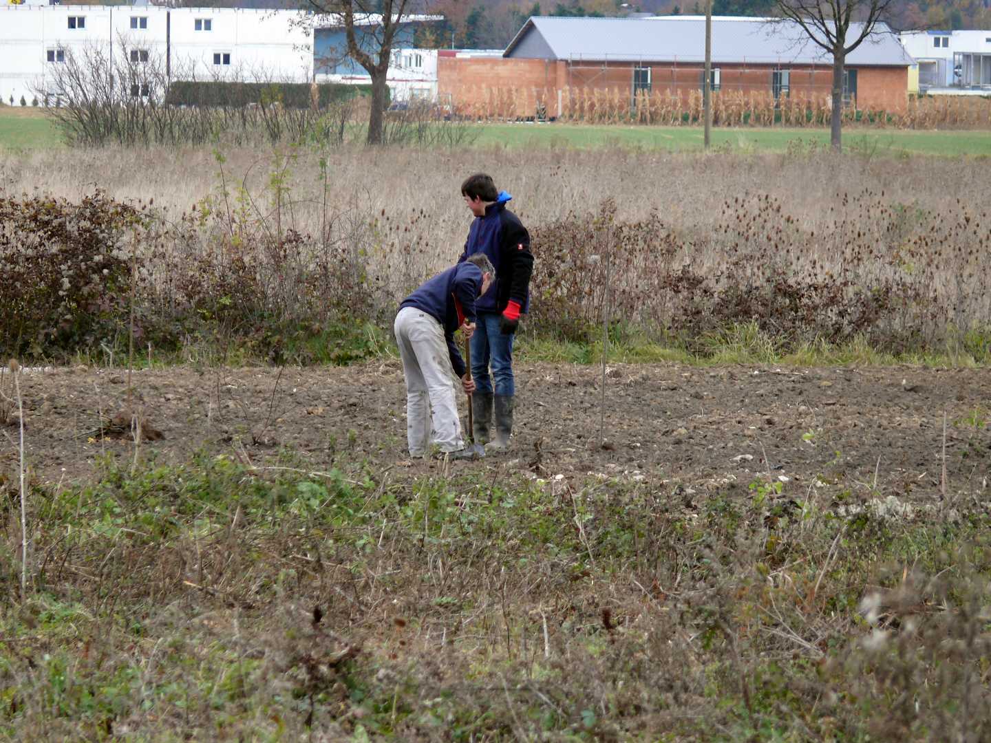 arbeitseinsatz_2011_11_3_20131227_1292834987