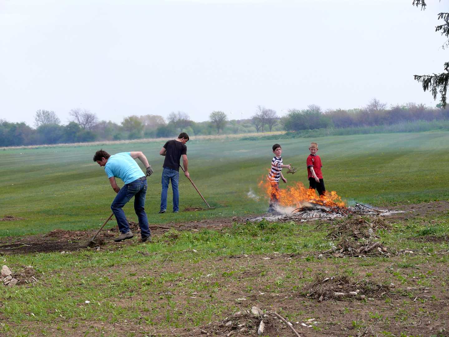 rasenflaeche_erweitern_10_20131227_2046482745