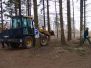 Arbeitseinsatz 31.01.2009