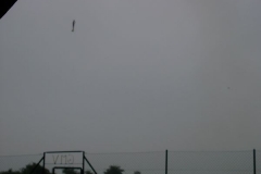 kunustdm2003_73_20120112_1110028160