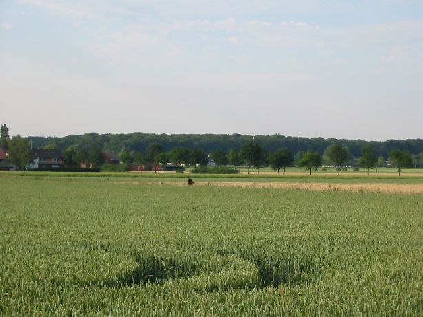 ferienfreizeit_2006_12_20120122_1924106279