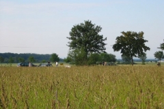ferienfreizeit_2006_41_20120122_1909826036