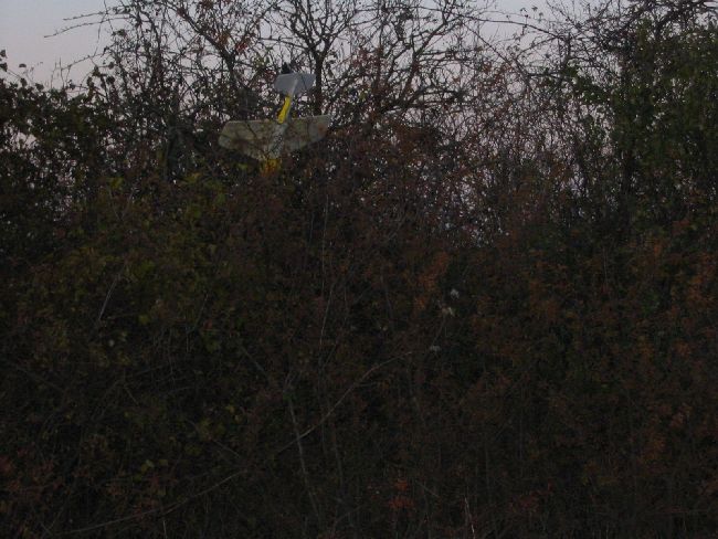 slow_fly_2003_18_20080124_1574149038
