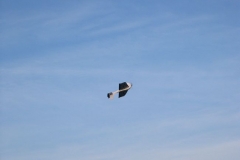 slow_fly_2003_16_20080124_1927924704