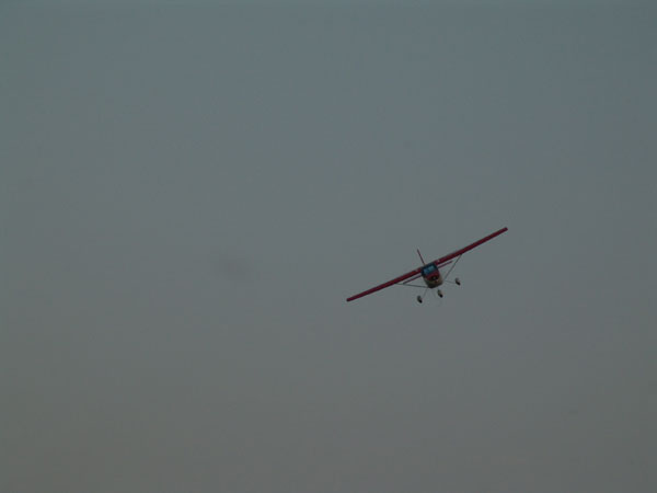 fliegen_1_20090120_1675833630