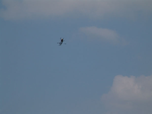fliegen_22_20090120_1361854202