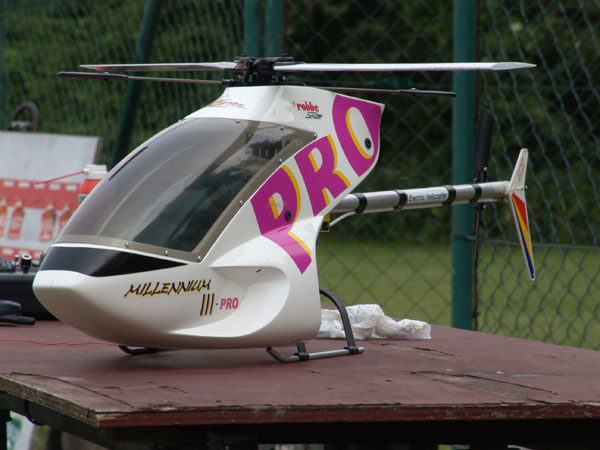 fliegen_3_20090120_1304878853