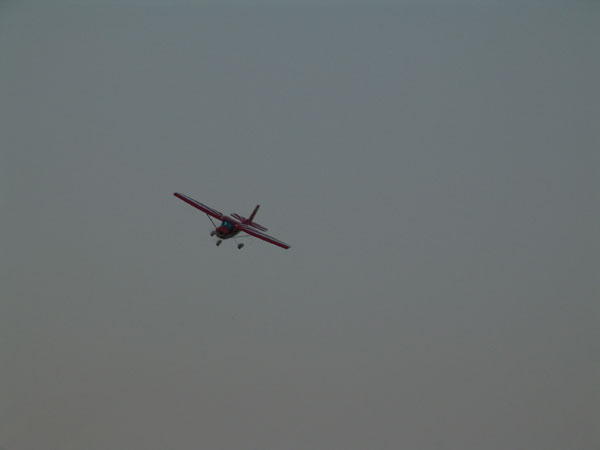 fliegen_5_20090120_1660355648