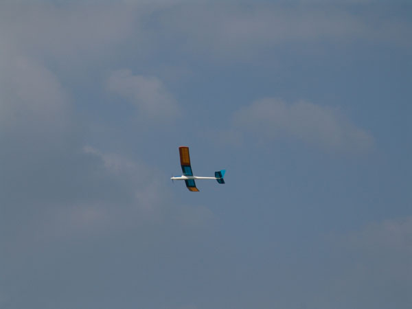 fliegen_7_20090120_2065204514