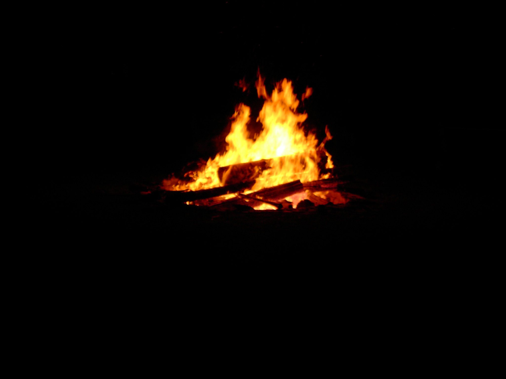 kif_0480