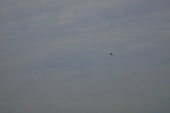 KIF_0439