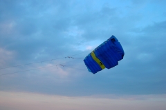 kif_0466