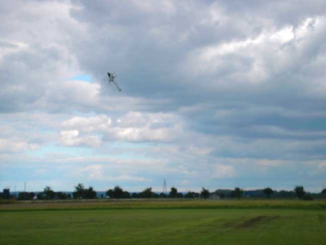 freund_2002_32_20120122_1878655064