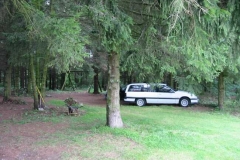 freund_2002_18_20120122_1616334423