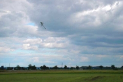 freund_2002_32_20120122_1878655064