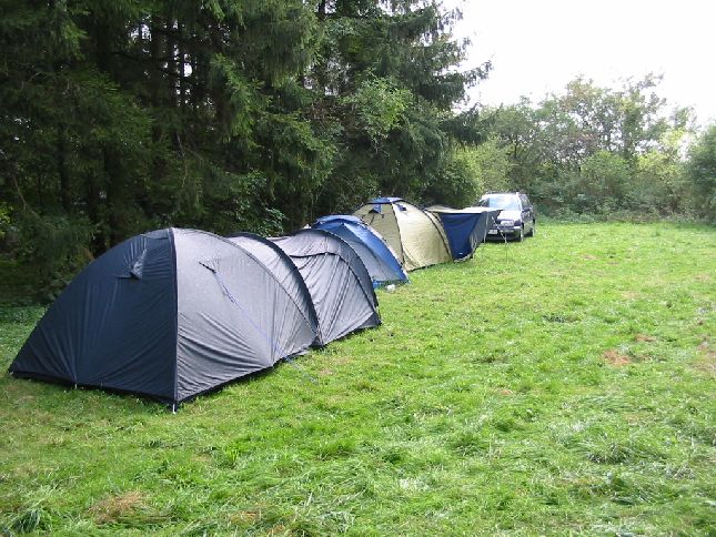 freund_2004_74_20120122_2052841559