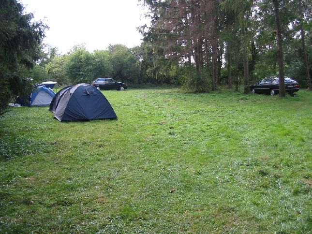 freund_2004_81_20120122_1710140434