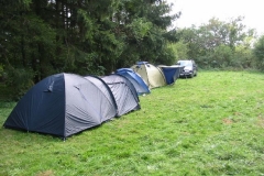 freund_2004_74_20120122_2052841559
