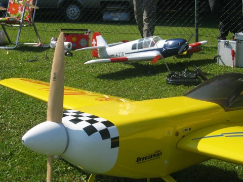 freund_2005_22_20120122_1337945059