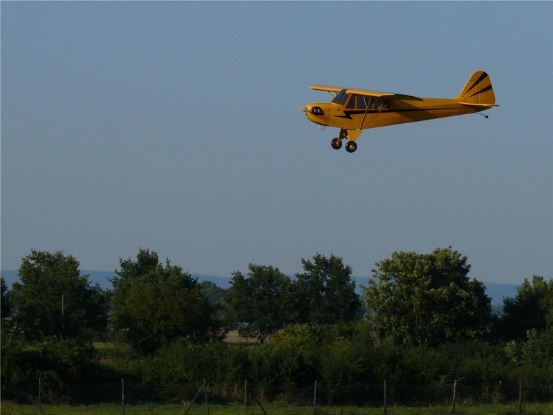 freund_2009_109_20120122_1611049504