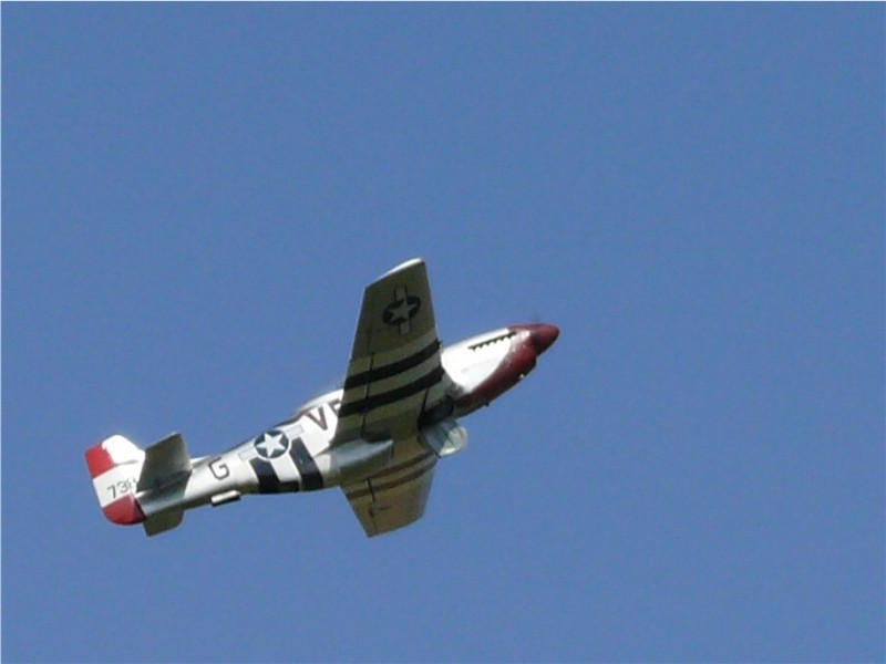 freund_2009_118_20120122_1666699224