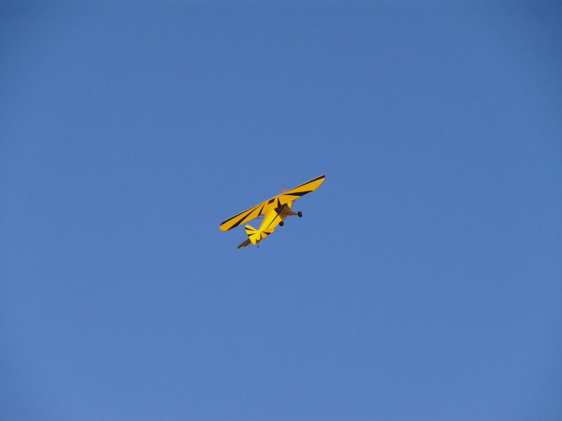 freund_2009_123_20120122_1206566730