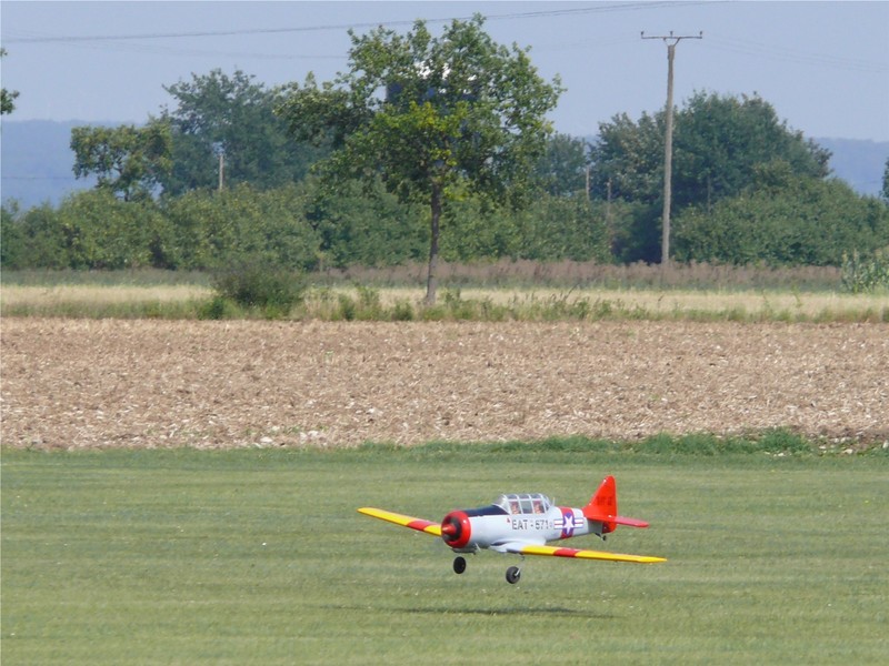 freund_2009_145_20120122_1803950281