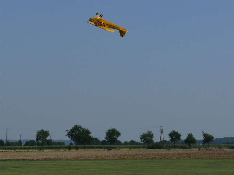 freund_2009_146_20120122_1481356799