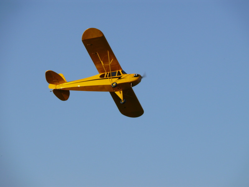 freund_2009_148_20120122_1980106015