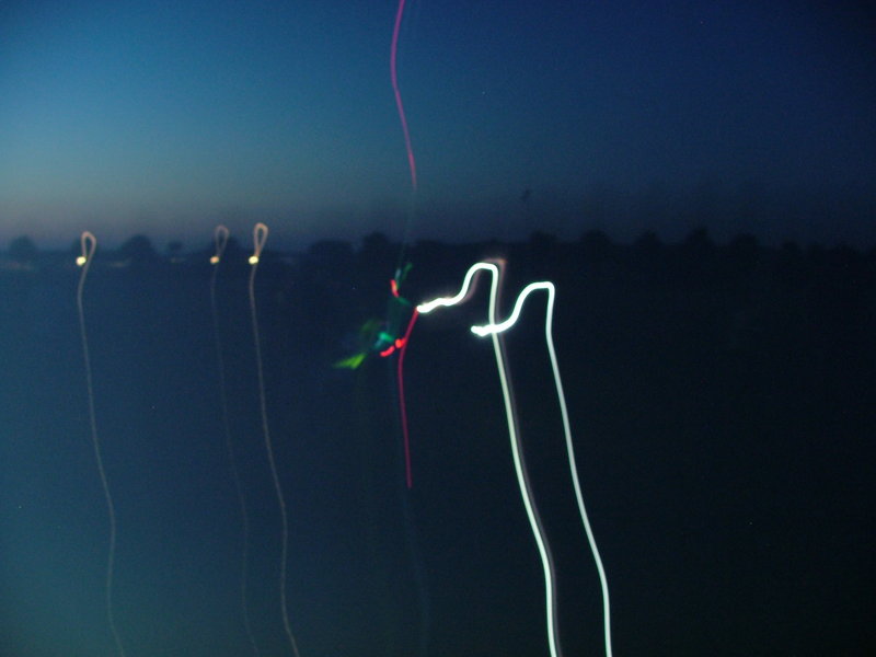 freund_2009_155_20120122_1002065178