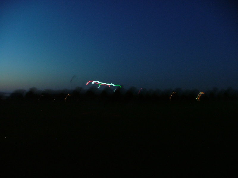 freund_2009_158_20120122_1932200913