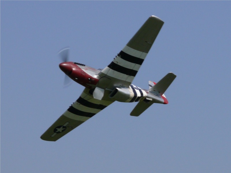 freund_2009_163_20120122_2057592667