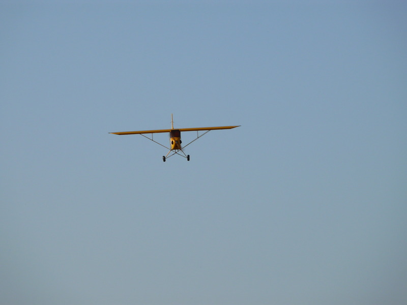 freund_2009_168_20120122_1481848817