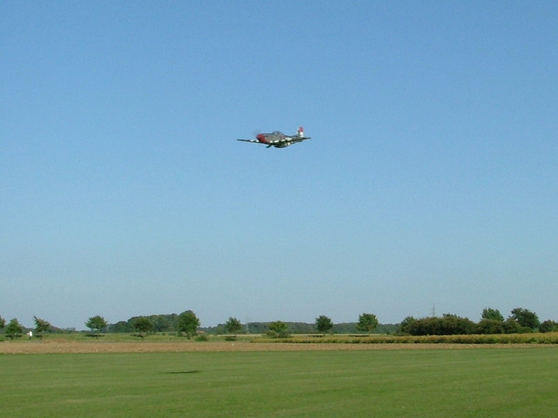 freund_2009_197_20120122_1852924085