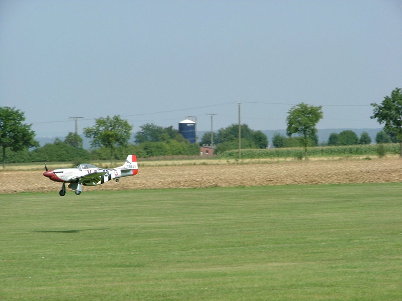 freund_2009_29_20120122_1954467071