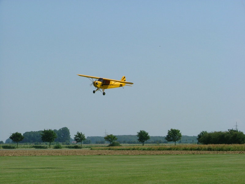 freund_2009_55_20120122_2041274232