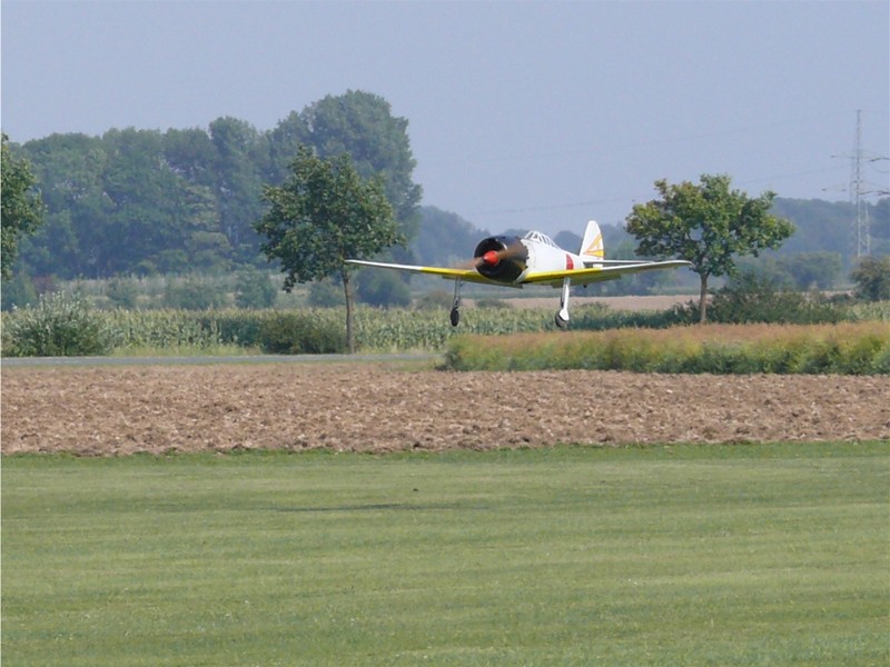 freund_2009_9_20120122_1260780354