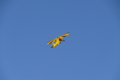 freund_2009_123_20120122_1206566730