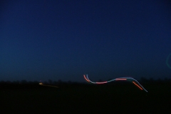 freund_2009_126_20120122_1150184714
