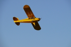 freund_2009_148_20120122_1980106015