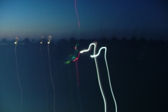 freund_2009_155_20120122_1002065178