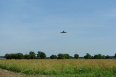 freund_2009_166_20120122_1932538819
