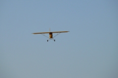 freund_2009_168_20120122_1481848817